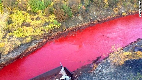 Scarlet Tide: Residents stunned as the Russian river turns red
