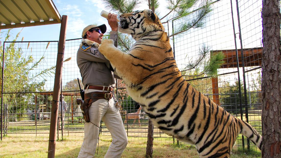 Joe Exotics ’‘ Tiger King ’team turns to Carole Baskin taking their zoo