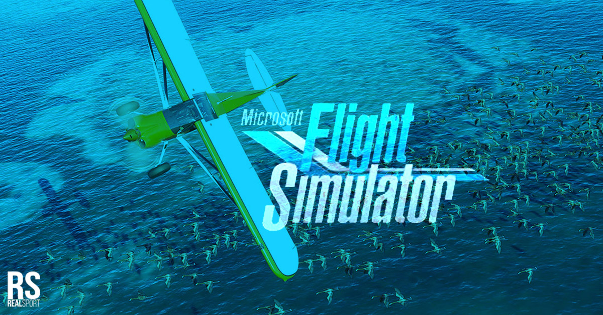 *UPDATED* Microsoft Flight Simulator 2020: Pre-orders OPEN, Update, Release Date, Platforms, Alpha 5, Locations, Trailer, Closed Beta & more