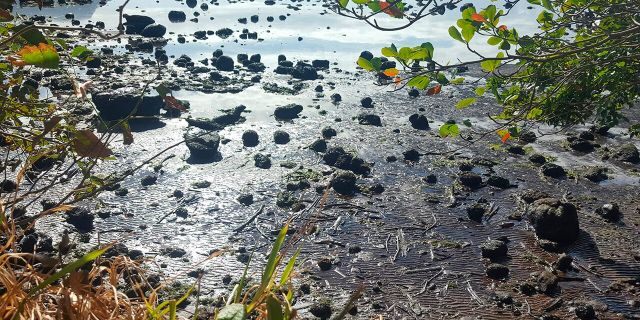 This photo taken and provided by Sophie Seneque, shows debris in Riviere des Creoles, Mauritius, Sunday Aug. 9, 2020, after it leaked from the MV Wakashio.