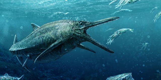 File photo: An artist's rendering of the ichthyosaur.