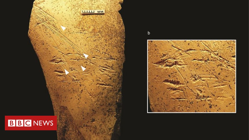 Europe’s earliest bone tools identified in Britain
