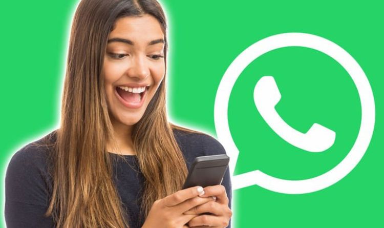 WhatsApp update could bring massive Iphone attribute to Android equipment