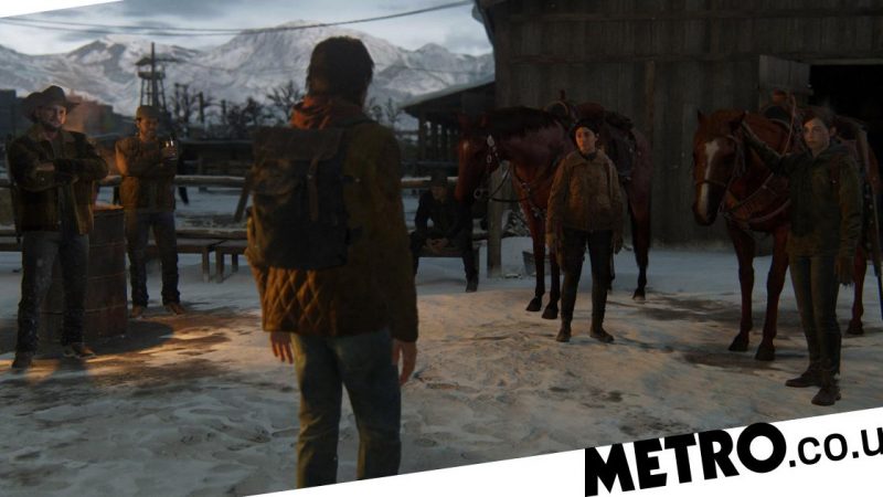 Last Of Us manager asks fans to be patient in multiplayer mode

