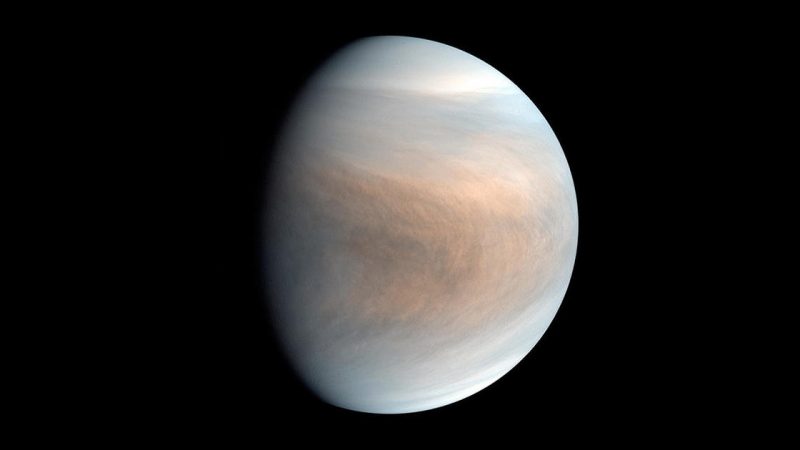 Astronomers are finding a possible sign of life on Venus


