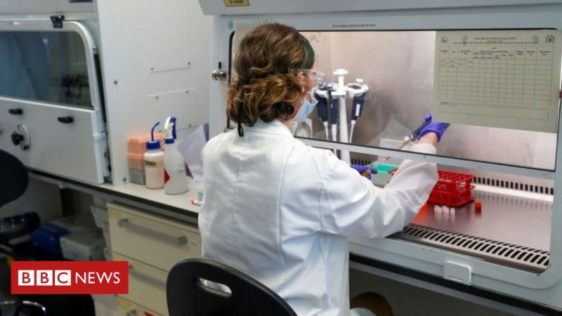 Coronavirus: Vaccine trial resumes and divorce 'blossom'

