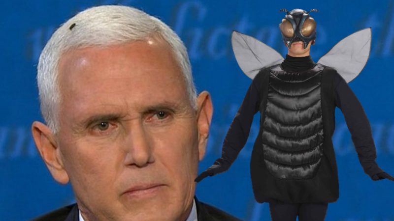 The "Halloween Fly Costume" goes on sale immediately after discussion of the Vice President

