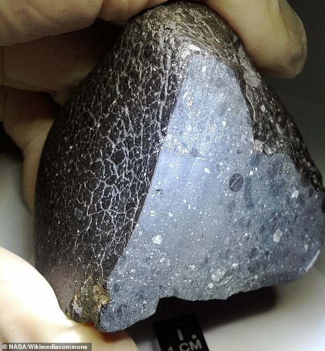 Pictured is Black Beauty, or NWA 7034. A 2013 study of a Martian meteorite found it was 2.1 billion years old and rich in water.