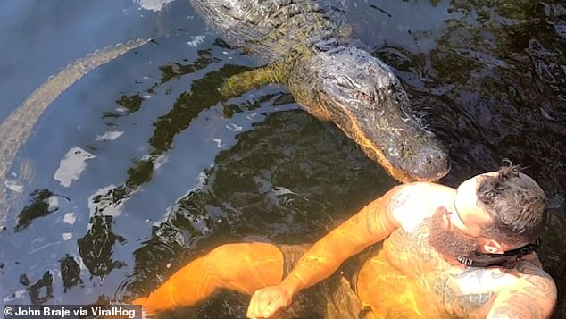 Frightening moment the crocodile captures Elvis “nibble” on the shoulder of a Florida man