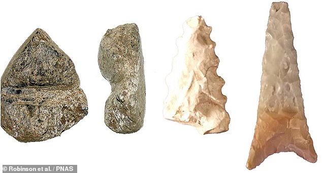 Researchers also found evidence of other societal activities in the cave - specifically, projectile points (left) and arrow shaft straighteners (right) that indicate the manufacture and retrofitting of weapons in preparation for hunting.