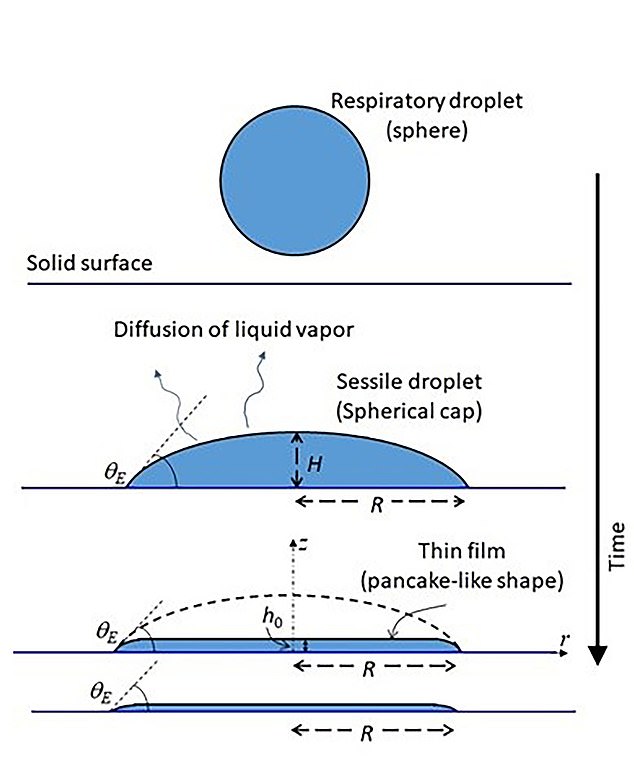 The film (lower part) covers the same area as the droplet (top), with the same radius and initial gradient angle.  The only measurement that changes is its vertical height