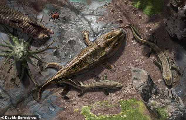 Evolution: The upper arm may be the key to how vertebrates rose from the seas 390 million years ago