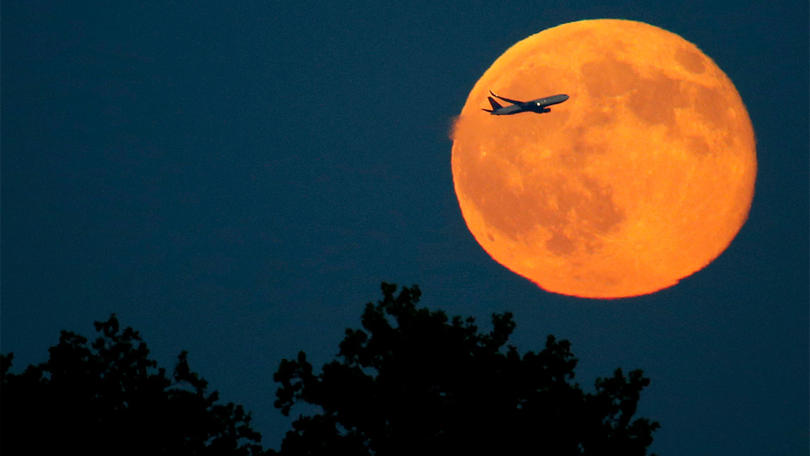 Halloween 2020 Full Moon: A rare blue moon lights up the sky