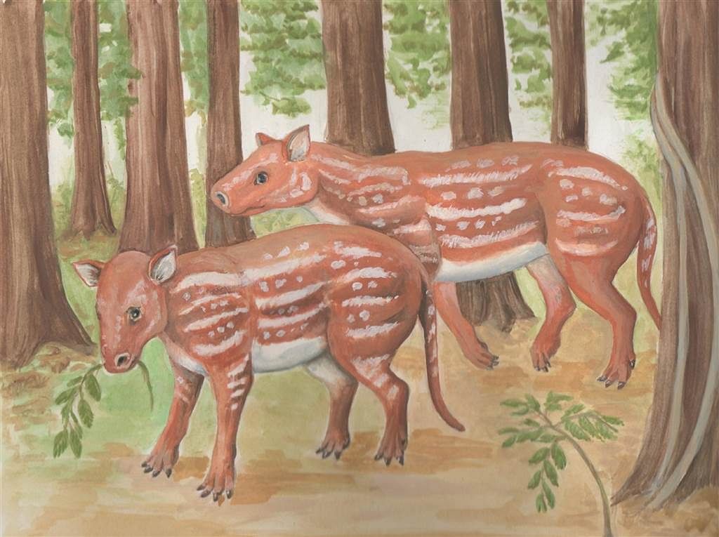 Horses and rhinos evolved from a strange hoofed animal in India: a study