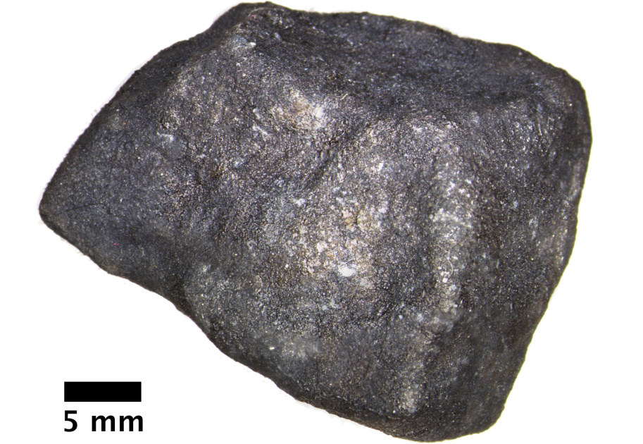 The Michigan meteorite contains extraterrestrial “pure” organic compounds