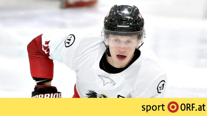 Ice Hockey World Cup: A Russian wants to surprise the U-20 team

