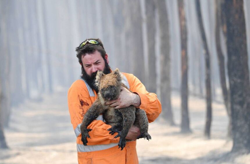Scorched earth: Australia’s wildlife continues to suffer
