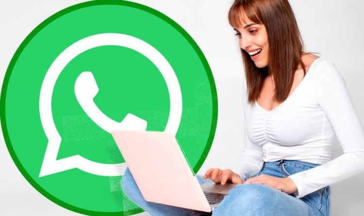 WhatsApp Web can support video calls just in time for Christmas

