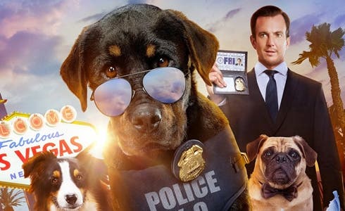 TV programs tonight, Wednesday, January 6, 2021. on Rai2 on TV 1, “Show Dogs – Let’s go the scene” voiced by Cristiano Malgoglio, Valeria Marini and Barbara Dorso