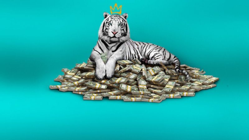 The White Tiger Netflix original review


