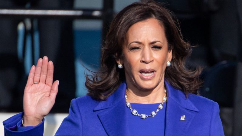  "Indian second-class immigrant mom" Kamala Harris calls herself "black woman" A cold look at Asian immigrants |  The President is online

