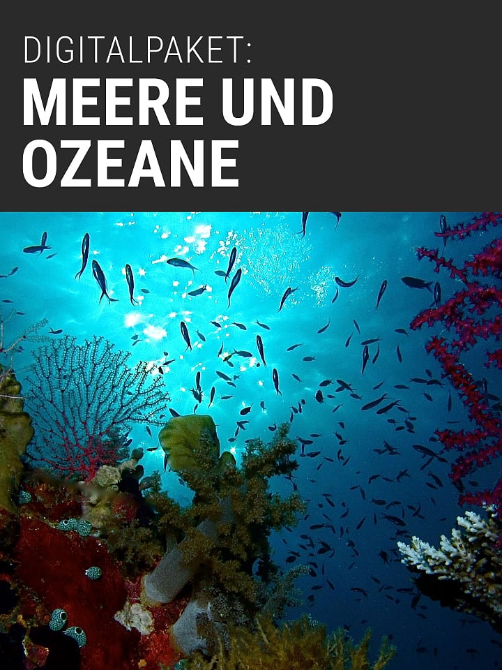 Heftcover Spektrum.de digital package: seas and oceans