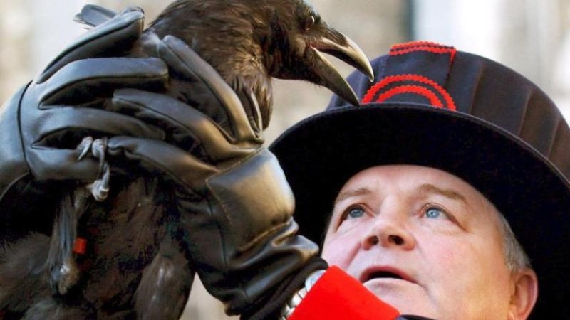 The Tower of London is losing a crow

