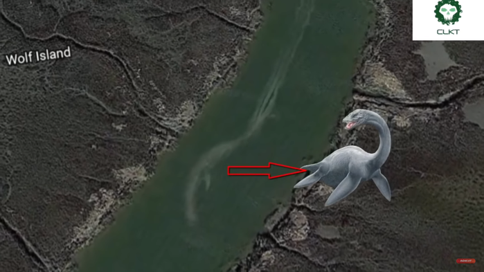 Giant sea monsters mistakenly recorded by Google Earth, looks absolutely amazing!  Photo 4.