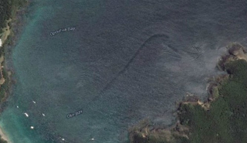 Giant sea monsters mistakenly recorded by Google Earth, looks absolutely amazing!  Photo 5.