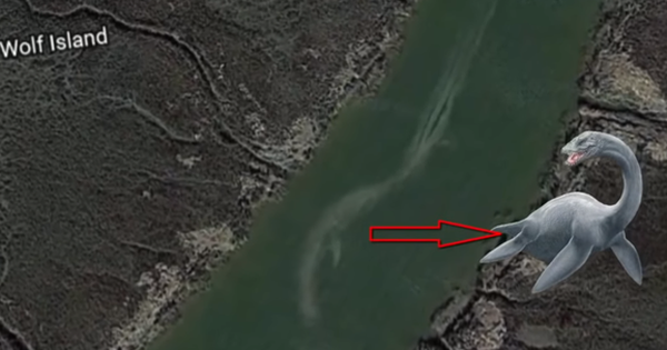Giant sea monsters mistakenly recorded by Google Earth, looks absolutely amazing!