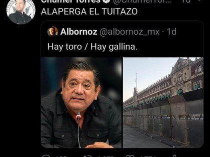 The YouTuber has consistently criticized the federal government's actions in the case of candidate Felix Salgado Macedonio (Photo: Twitter / @ChumelTorres)