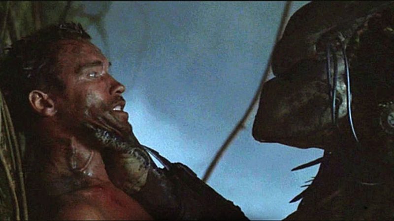 Arnold Schwarzenegger, predator