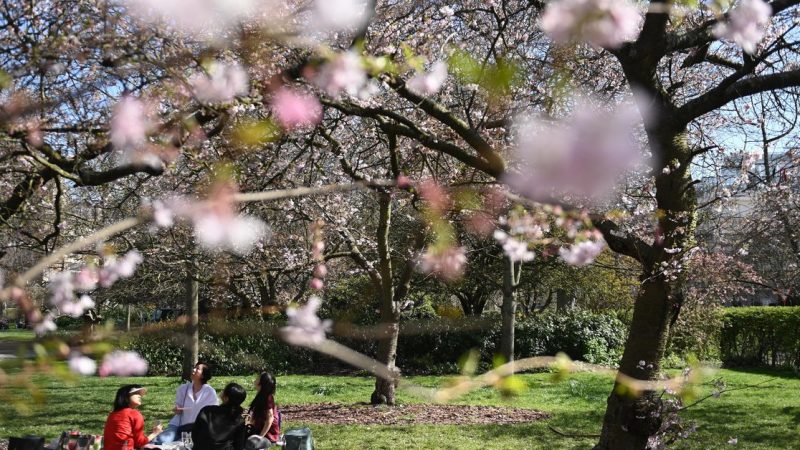 The UK reaches its highest single-day temperature in March in 53 years

