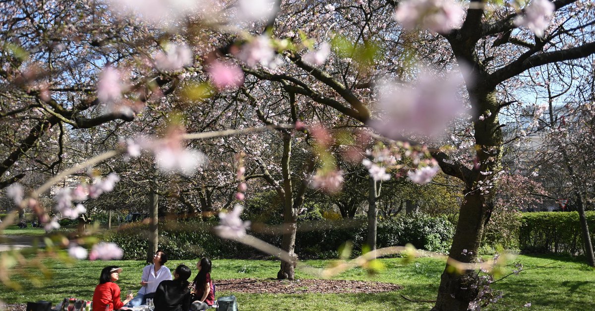 The UK reaches its highest single-day temperature in March in 53 years