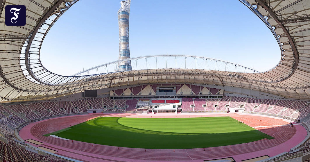 Grass for FIFA World Cup 2022 in Qatar: The Netherlands does not advance