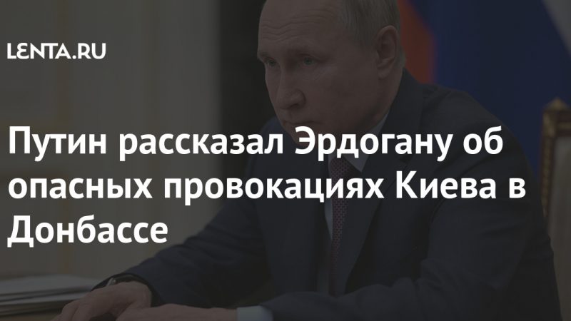 Putin told Erdogan about Kiev's dangerous provocations in the Donbas: Politics: Russia: Lenta.ru

