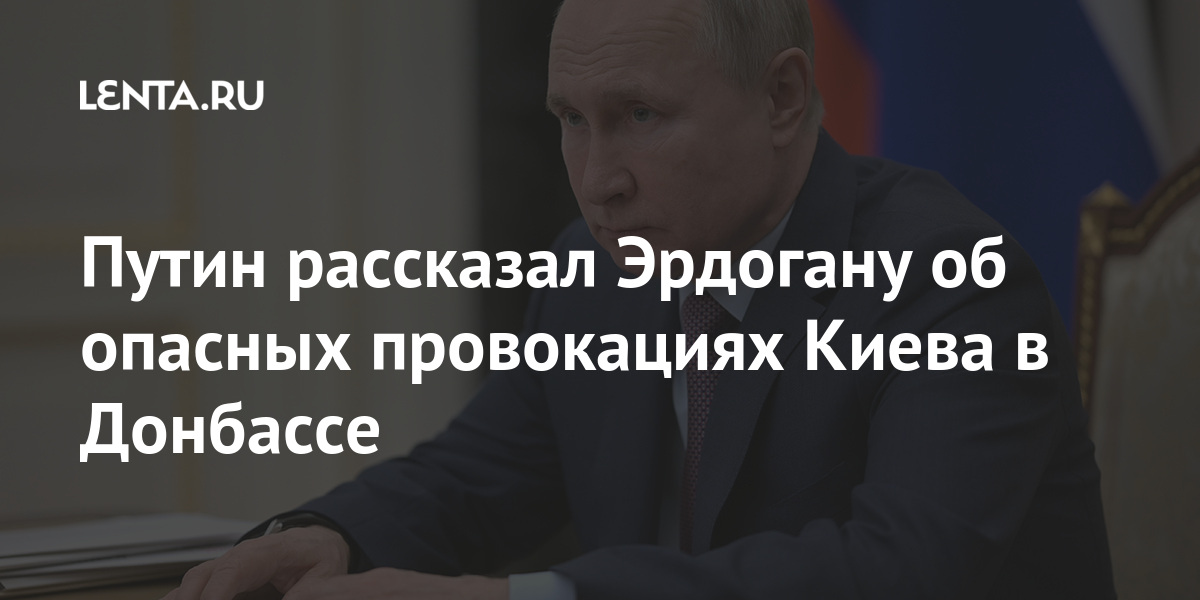 Putin told Erdogan about Kiev’s dangerous provocations in the Donbas: Politics: Russia: Lenta.ru