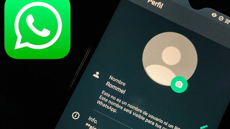   WhatsApp |  How to know if someone deleted you from the app |  Applications |  Smartphone |  Cell Phones |  The trick  Tutorial |  Viral |  United States |  Spain |  Mexico |  NNDA |  NNNI |  data

