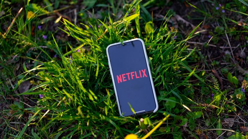 Apple really took care of Netflix in-app subscriptions

