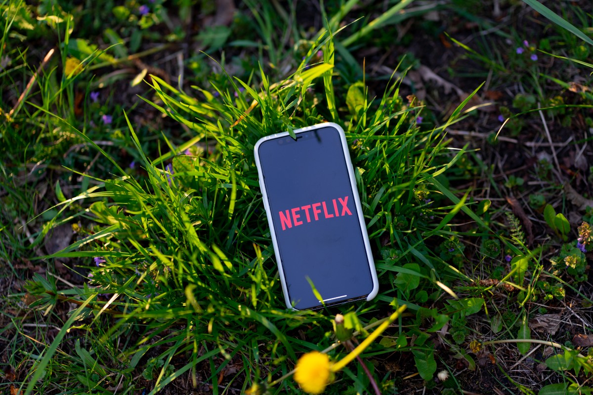Apple really took care of Netflix in-app subscriptions