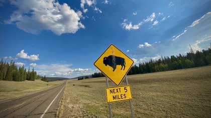 A sign warning the American bison crossing near the northern edge of the Grand Canyon National Park, July 17, 2020 (Photo by Eric Berdat / AFP)