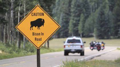 In this file photo from July 31, 2016, a ranger and a group of motorcyclists pass a bison warning sign inside the Grand Canyon National Park in northern Arizona.  (AP Photo / Susan Montoya Brian)