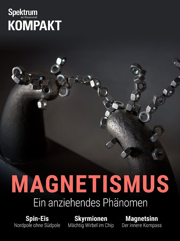 Spectrum Accord: Magnetism - an attractive phenomenon