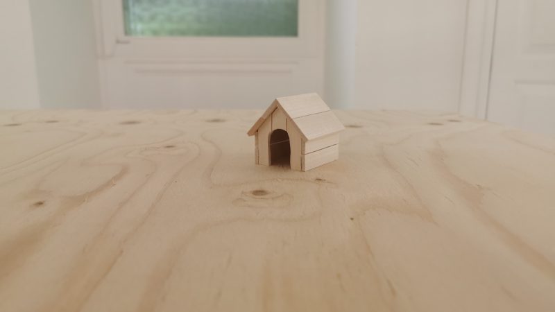   From Venice: Is Architecture Possible According To The United States?  It is only made of wood

