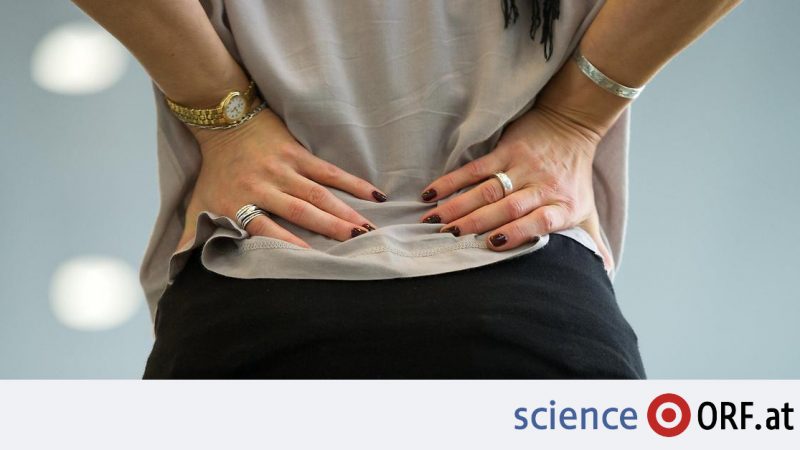 Treatment: stem cell injection against back pain - Science.ORF.at

