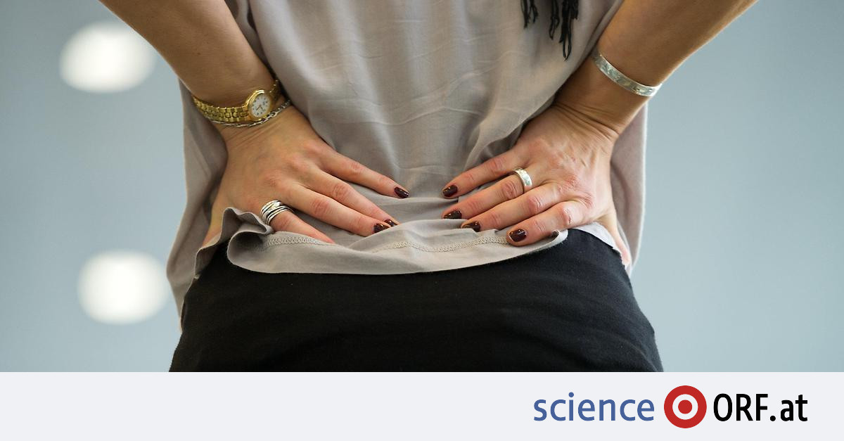 Treatment: stem cell injection against back pain – Science.ORF.at