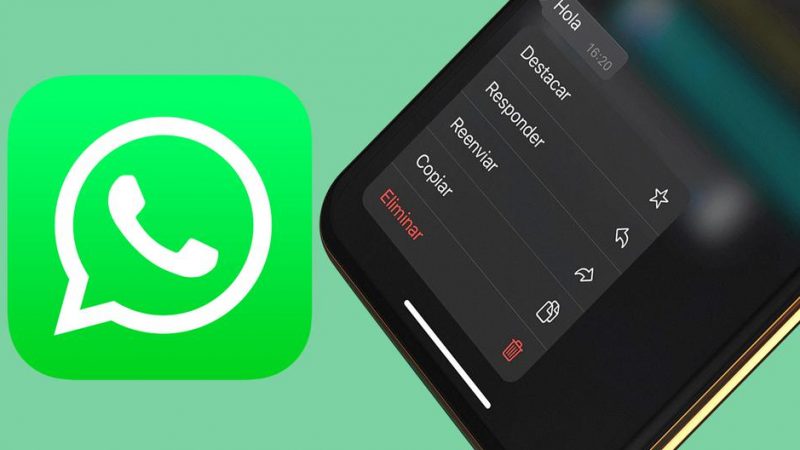   WhatsApp |  How to recover deleted messages |  Deleted |  Applications |  Applications |  Smartphone |  Cell Phones |  The trick  Tutorial |  Viral |  United States |  Spain |  Mexico |  NNDA |  NNNI |  data

