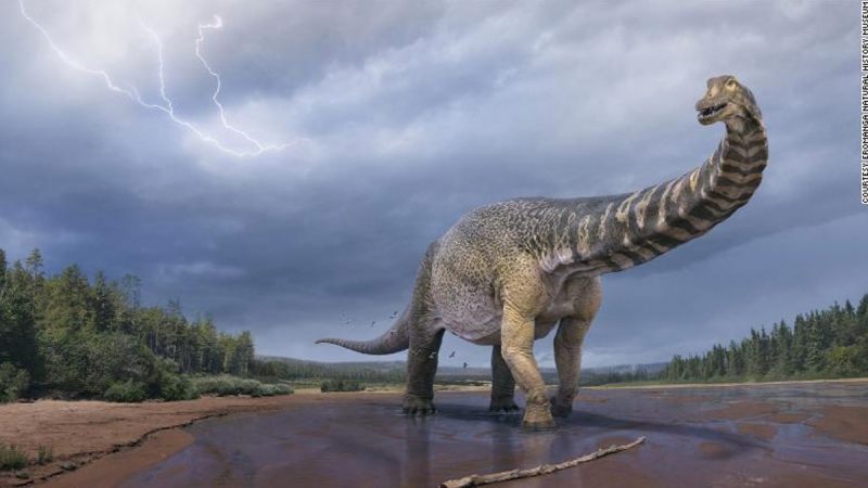 Australia's largest dinosaur is a new species, and that's a measurement

