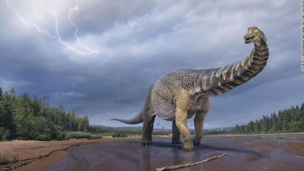 Australia’s largest dinosaur is a new species, and that’s a measurement