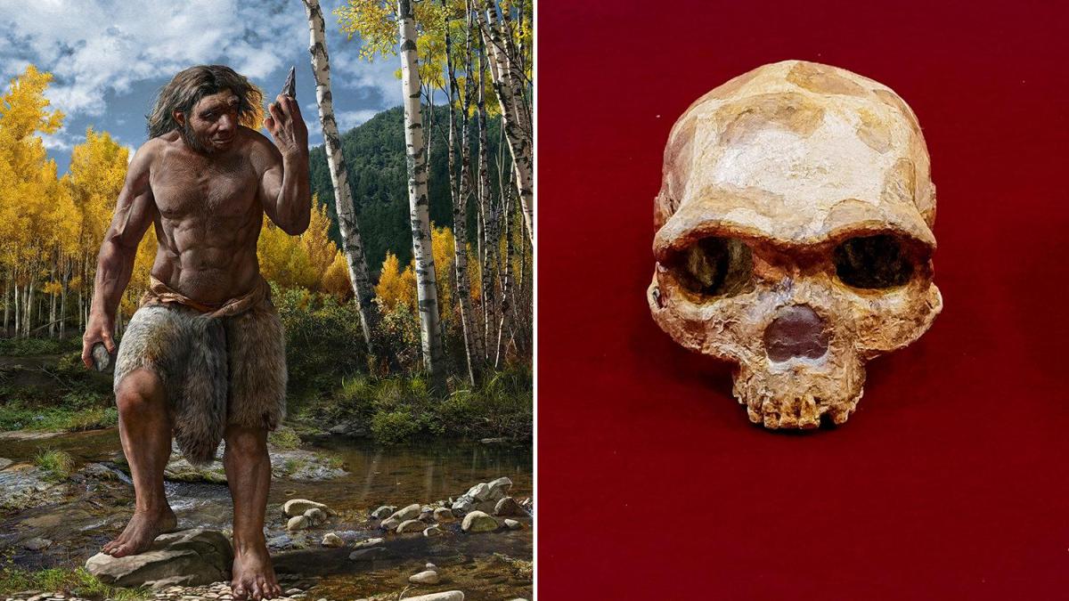 Harbin’s skull probably belonged to a new species of human, Homo longi